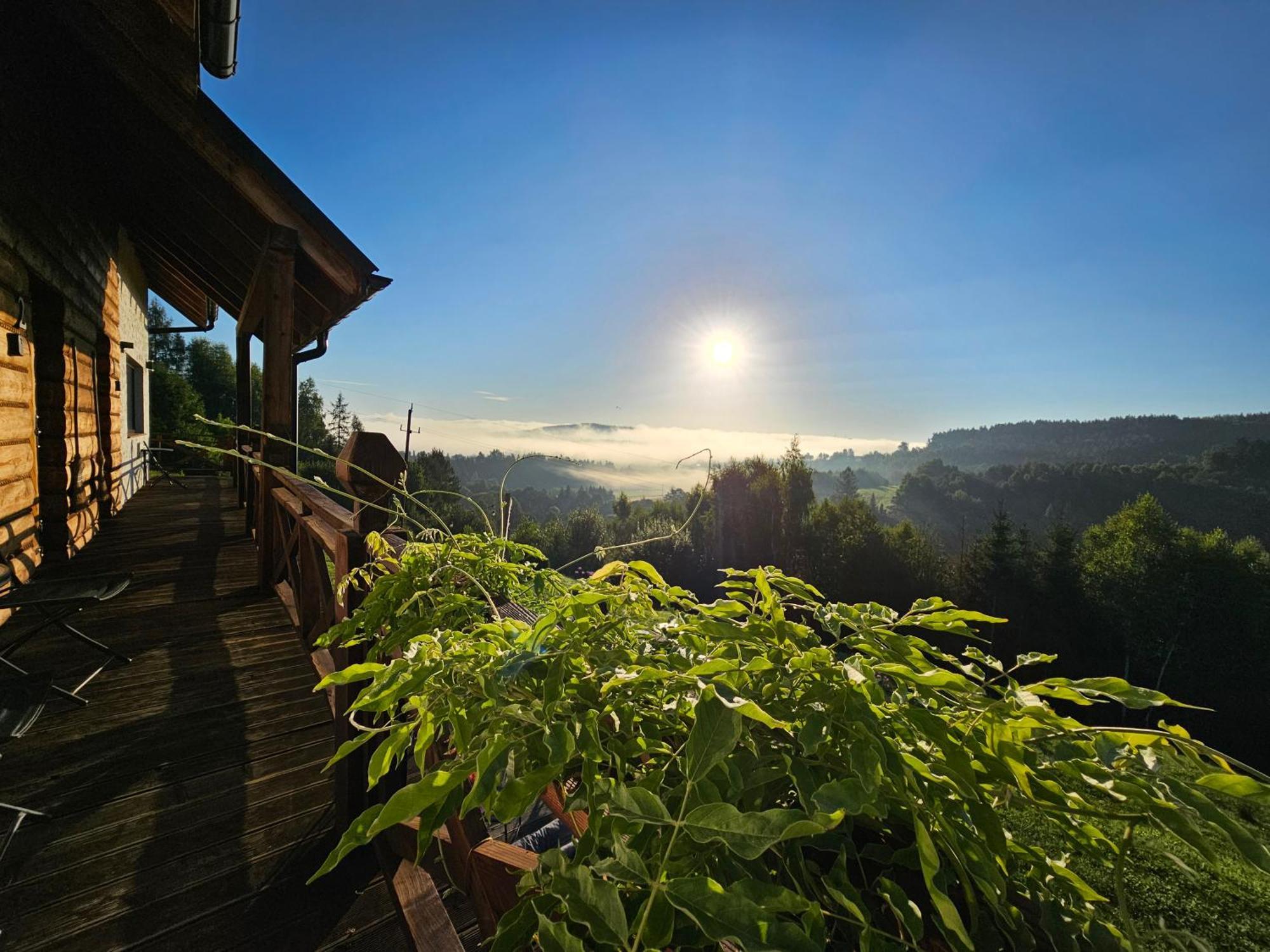 Chata W Bieszczadzie Apartamenty I Domki Z Sauna Bieszczady Polańczyk Exterior foto
