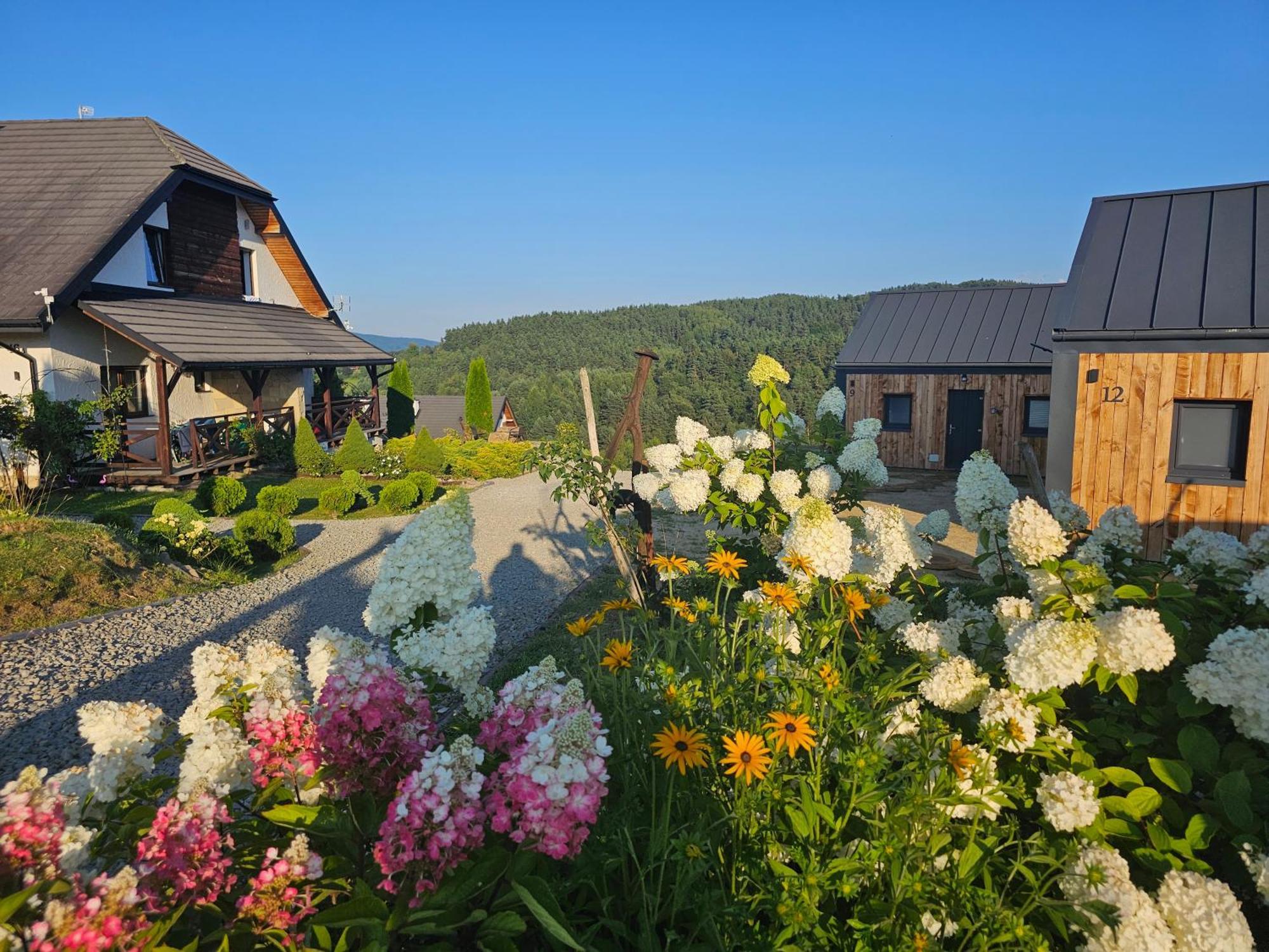 Chata W Bieszczadzie Apartamenty I Domki Z Sauna Bieszczady Polańczyk Exterior foto